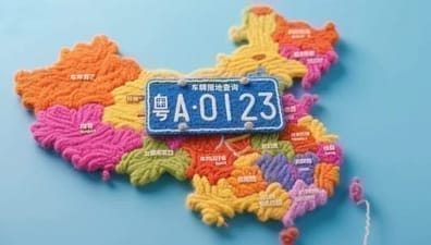 License Plate Origin Query